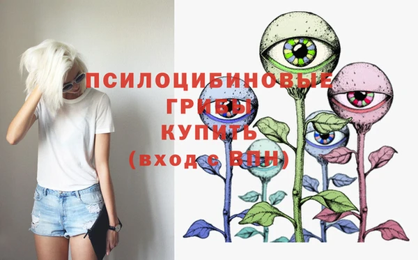 дмт Баксан