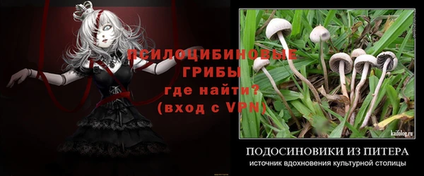 дмт Баксан