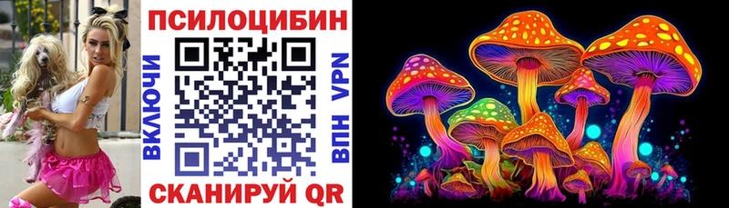 Галлюциногенные грибы Psilocybine cubensis  Купить закладки  Ленинск-Кузнецкий 