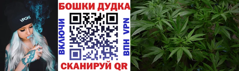 Купить где  Ленинск-Кузнецкий  Марихуана OG Kush 
